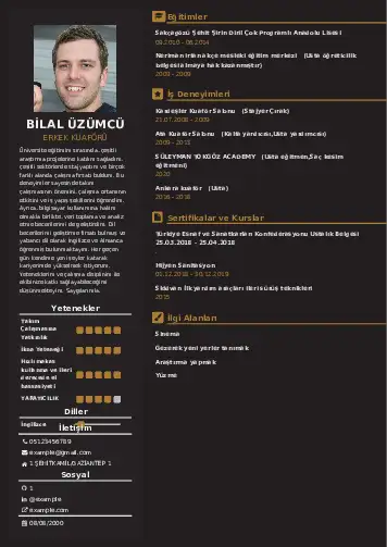 cv indir